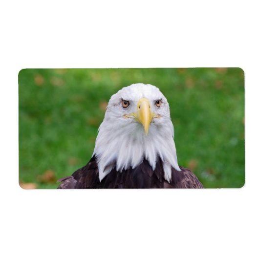 ワシの目 ラベル (正面)