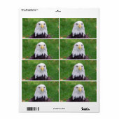 ワシの目 ラベル (フルシート)