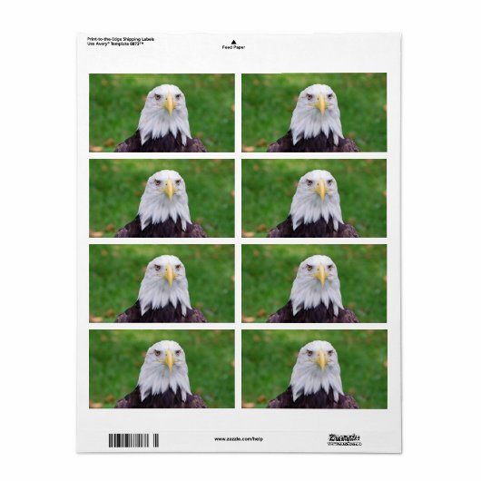 ワシの目 ラベル (フルシート)