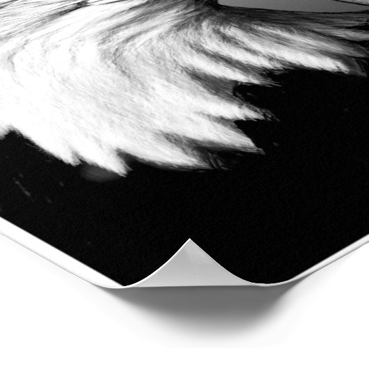 ワシの ポスター (角)