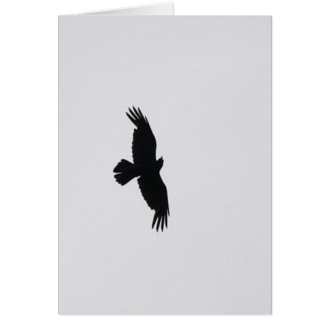 ワシは上昇します (正面)