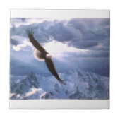 ワシは嵐を風化させます タイル (正面)