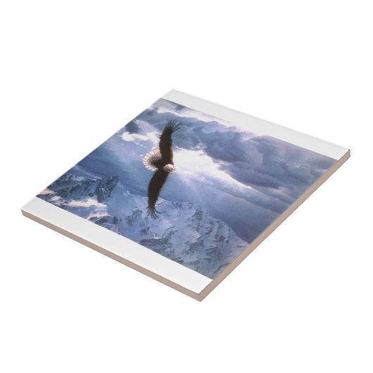 ワシは嵐を風化させます タイル (側面)