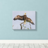 ワシを広げる キャンバスプリント (インサイチュ (ウッドフロア))