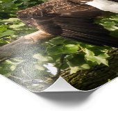 ワシを広げる フォトプリント            (角)