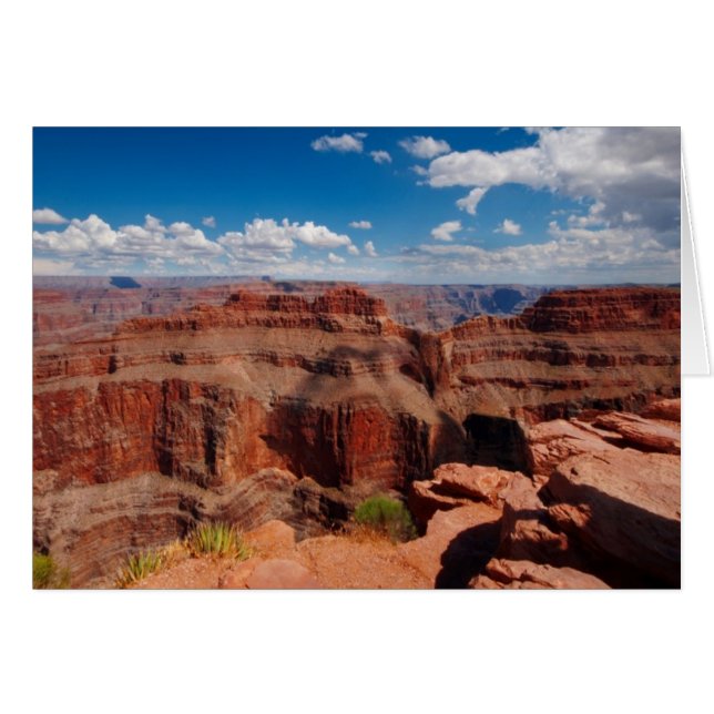 ワシポイント (正面横)