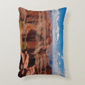 ワシポイント アクセントクッション (正面(垂直))