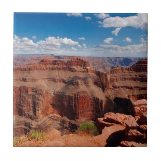 ワシポイント タイル (正面)