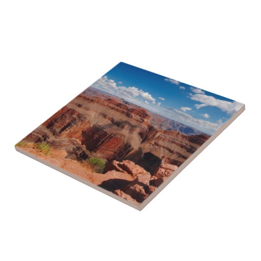 ワシポイント タイル (側面)