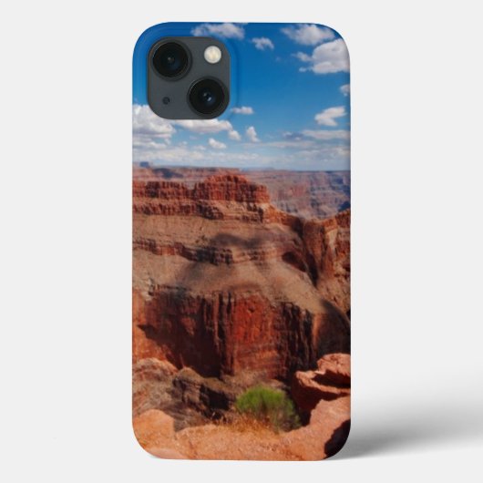 ワシポイント Case-Mate iPhoneケース (裏面)