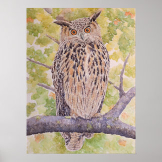 ワシミミズクのフラコ ポスター