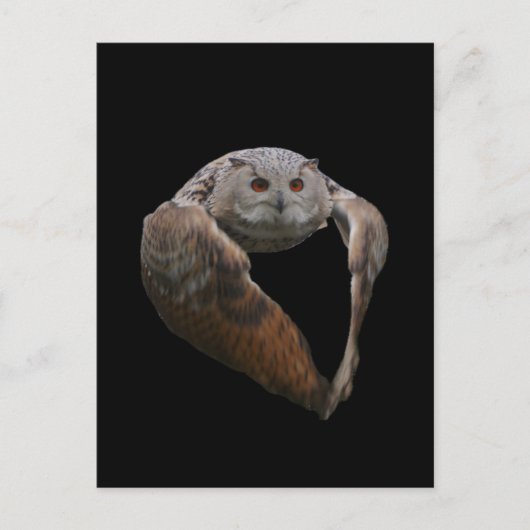 ワシミミズクのポストカード ポストカード (正面)