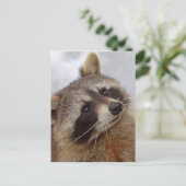 ワシュバー ポストカード (スタンド正面)