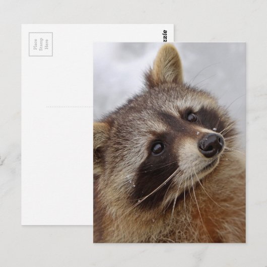 ワシュバー ポストカード (正面/裏面)