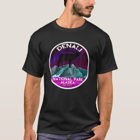 ワシラアラスカ北方灯 Tシャツ (正面)