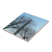 ワシントンのモニュメントin冬Iの風景 タイル (側面)