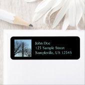 ワシントンのモニュメントin冬Iの風景 ラベル (インサイチュ)