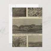 ワシントンの多才な倹約 ポストカード (正面/裏面)