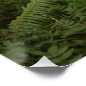 ワシントンの平和なグリーンフォレストトレイル ポスター (コーナー)