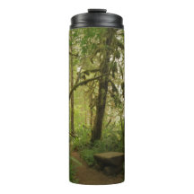 ワシントンの平和な緑の森の道