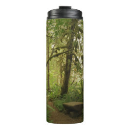 ワシントンの平和な緑の森の道 タンブラー