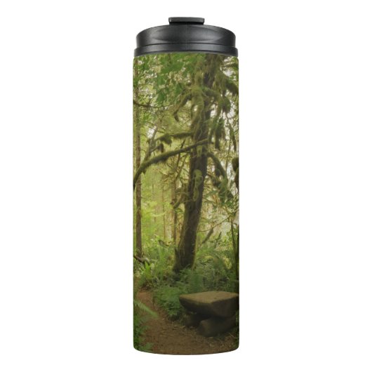 ワシントンの平和な緑の森の道 タンブラー (正面)