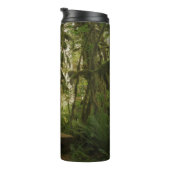 ワシントンの平和な緑の森の道 タンブラー (回転右)
