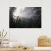 ワシントンの森に霧と太陽の光 ポスター (キッチン)