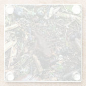 ワシントンの森のサラマンダー ガラスコースター (裏面)