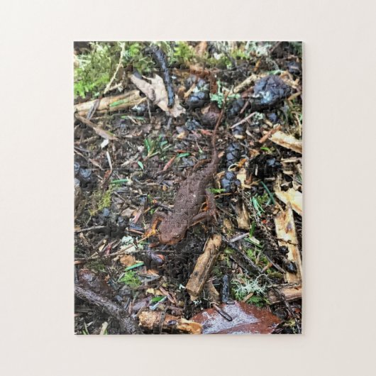 ワシントンの森のサラマンダー ジグソーパズル (縦)