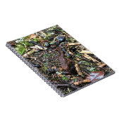 ワシントンの森のサラマンダー ノートブック (右側)