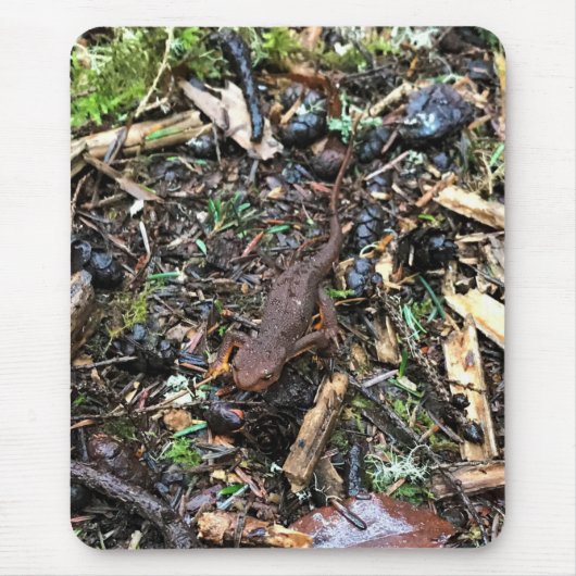 ワシントンの森のサラマンダー マウスパッド (正面)