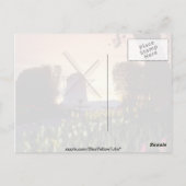 ワシントンの風車とチューリップの赤いシルエット ポストカード (裏面)