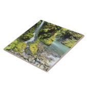 ワシントンオリンピック国立公園(季節) タイル (側面)