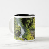 ワシントンオリンピック国立公園(季節) ツートーンマグカップ (正面左)