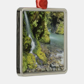 ワシントンオリンピック国立公園(季節) メタルオーナメント (右)