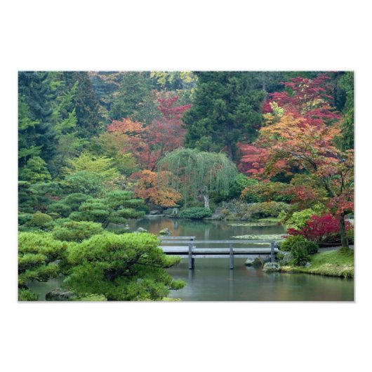 ワシントンパークの日本庭園 フォトプリント            (正面)