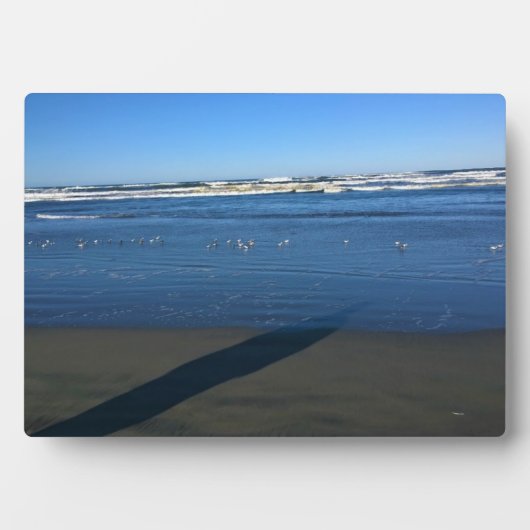 ワシントンビーチ フォトプラーク (正面)