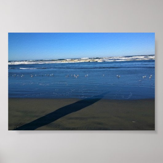 ワシントンビーチ ポスター (正面)