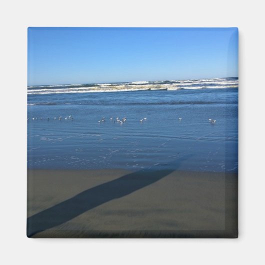 ワシントンビーチ マグネット (正面)