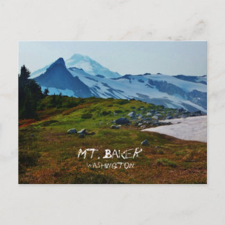 ワシントンポストカード ポストカード
