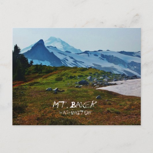 ワシントンポストカード ポストカード (正面)