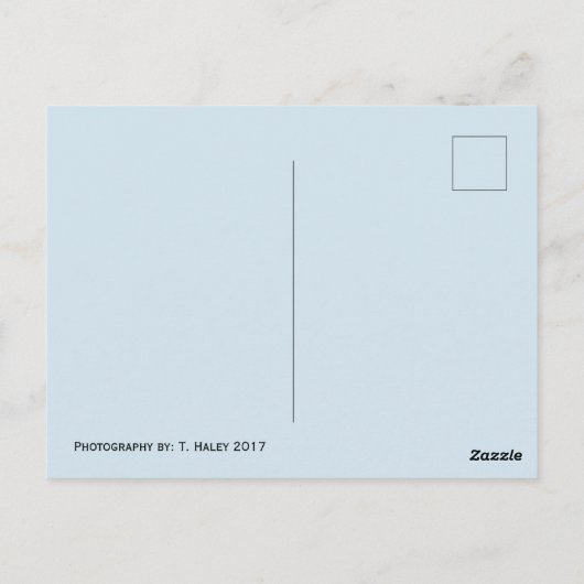 ワシントンマウンテンヒルズポストカード ポストカード (裏面)