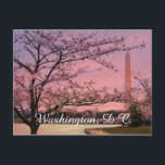 ワシントンモニュメントさくらんぼブロッサムフェスティバル ポストカード<br><div class="desc">Shelley Neff Photographyによるオリジナルアート写真素晴らしは、歴史的なワシントン記念碑(ワシントン、コロンビア州の地区)を背景にさくらんぼの木の春の開花を描き、パステルピンクの空の朝の日の出で照らされている。毎年、国立さくらんぼブロッサムフェスティバルは、1912年に東京の尾崎行男市長からワシントンDC市にさくらんぼの木3000本が贈られたことを記念している。贈り物と年々のお祝いは、日本と州統一されたの間の永続的な友情と両国の間の継続的な緊密な人間関係を尊重する。ワシントンD.C.の居住者、旅行者、またはワシントンD.C.を愛する人のための完璧な贈り物を作統一されたる、州のランドマーク、旅行と建築、ワシントンD.C.の目的地として結婚。どんな文字でも完璧に見えるが、特にポストカード、グリーティングカード、郵便切手、ドアマット、ラップトップスリーブやケース、写真やキャンバスのプリントでカスタマイズは、「It」を選択して名前や他の商品を追加することによパーソナライズされたり、見ることができる。カスタマイ連絡ズに関すもしるサポートが必要な場合や、この画像を製品に表示したい場合は、直接お問い合わせ違うください。このデザインに一致する当社の店の他のすべての製品を見るには、www.zazzle.com/sneffygirl*にアクセスしクリックて、「ワシントンDC > Washington Monumentさくらんぼブロッサムフェスティバル」カテゴリにアクセスしてください。感謝していご利益を</div>
