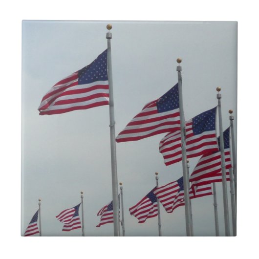 ワシントンモニュメントの米国旗 タイル (正面)