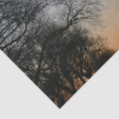 ワシントンモニュメントアットサンセット 薄葉紙 (詳細)