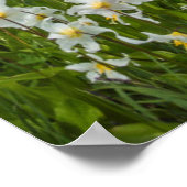 ワシントンレイニエ山国立公園1 ポスター (角)