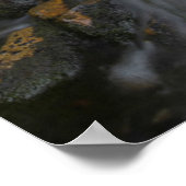 ワシントンレイニエ山国立公園2 ポスター (角)