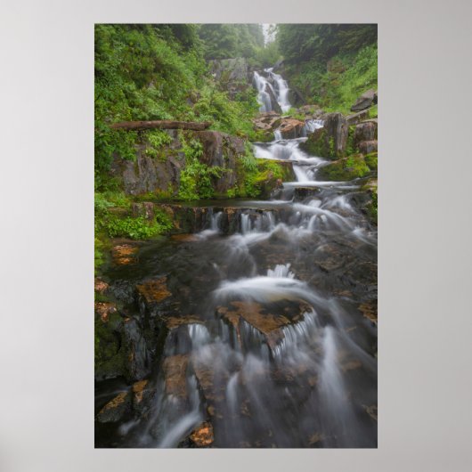 ワシントンレイニエ山国立公園2 ポスター (正面)