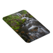 ワシントンレイニエ山国立公園2 マグネット (右側)